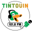 logo radio tintouin